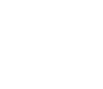 logo light
